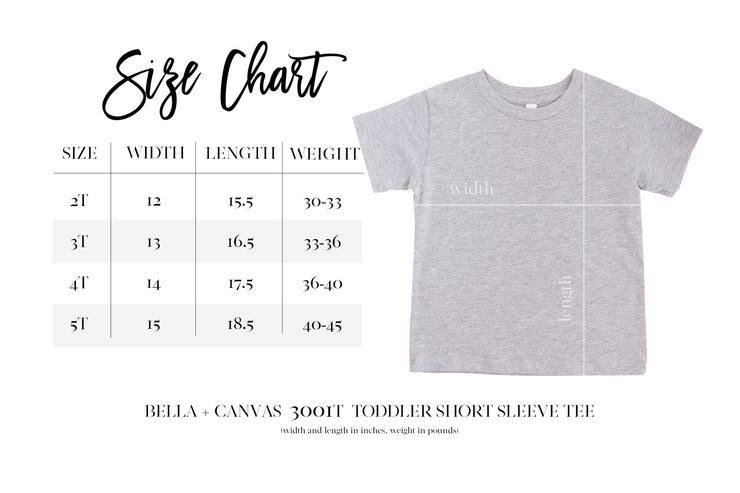 Toddler Short Sleeve Tee&